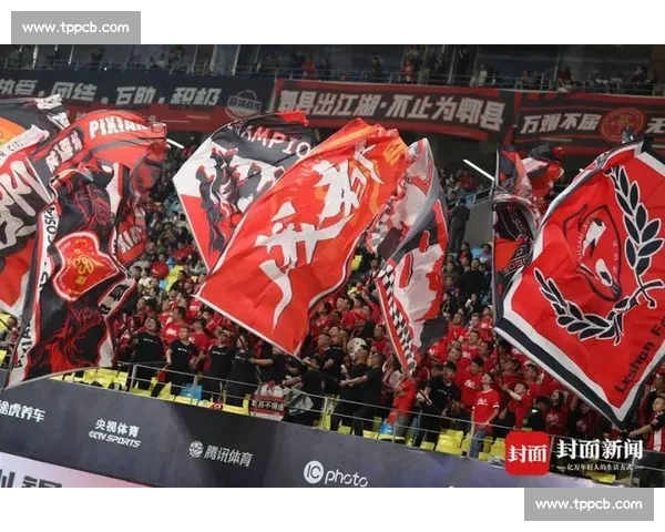 七年磨一剑：成都蓉城从三级跳迈向亚冠正赛